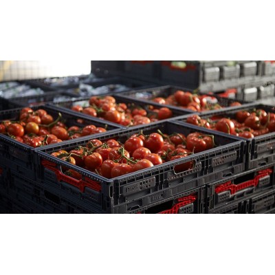 CAJA PLEGABLE REJILLADA, 600 x 400 x 115 mm. 2